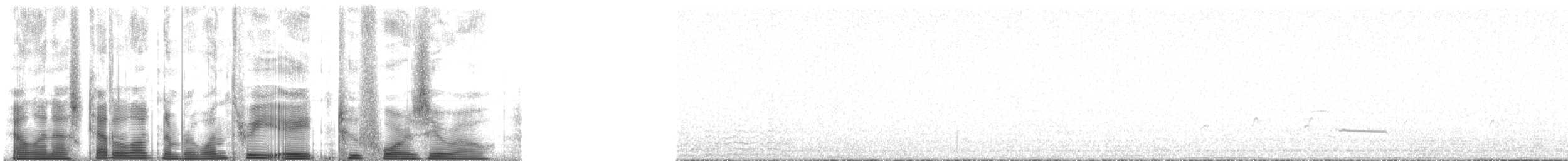 צוללן לבן-מקור - ML138240