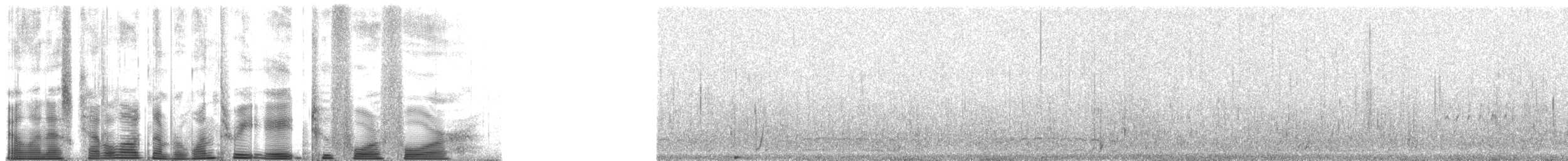 Гагара білодзьоба - ML138244