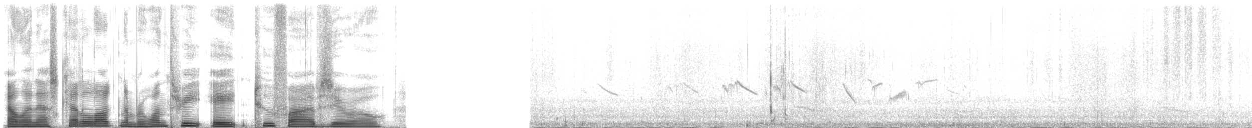 Bairdstrandläufer - ML138250