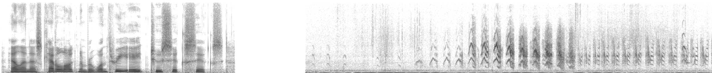 Bécasseau sanderling - ML138266