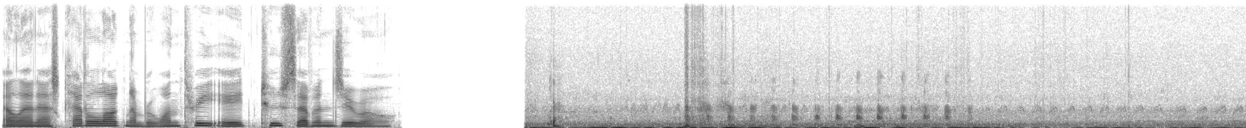 Пухівка горбатодзьоба - ML138270