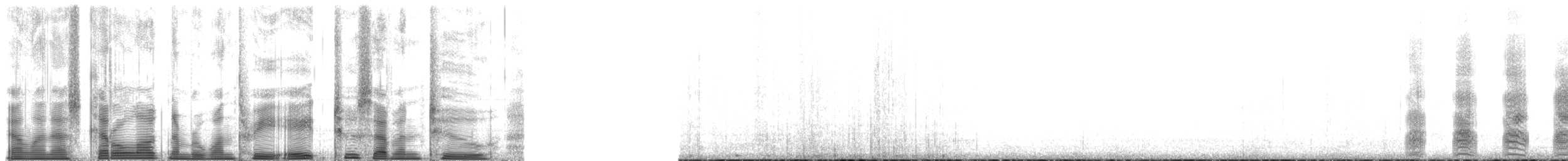 Белая сова - ML138272