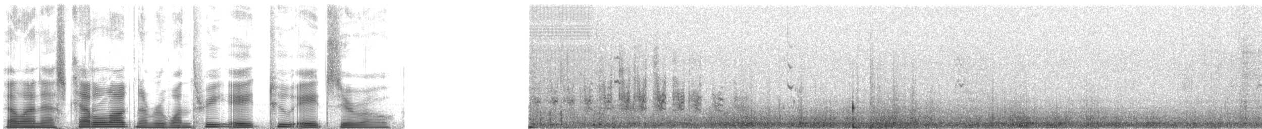 ミユビシギ - ML138280