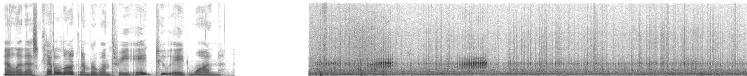 Bécasseau sanderling - ML138281