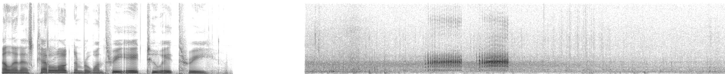 Bécasseau sanderling - ML138283