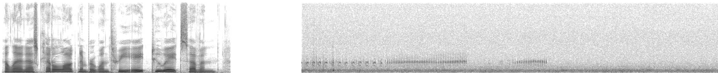 Bécasseau sanderling - ML138287