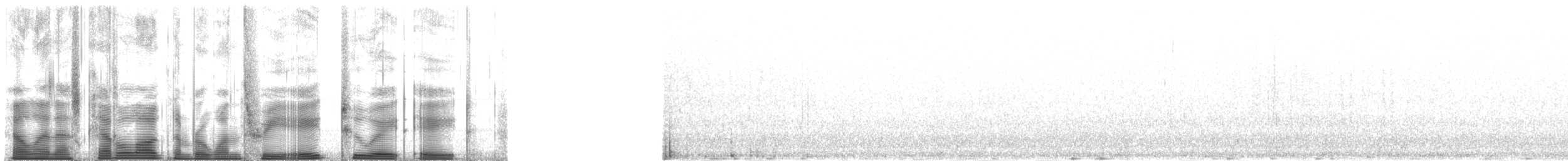 Белая сова - ML138288