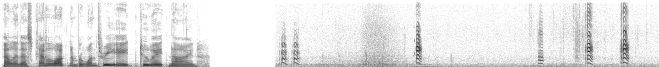 Uzun Kuyruklu Korsanmartı - ML138289