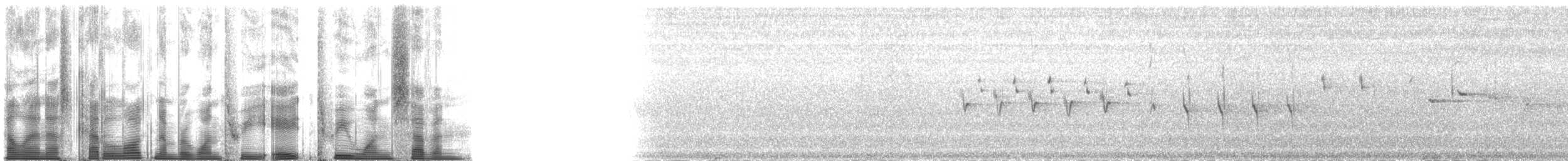 Шишкар ялиновий - ML138317