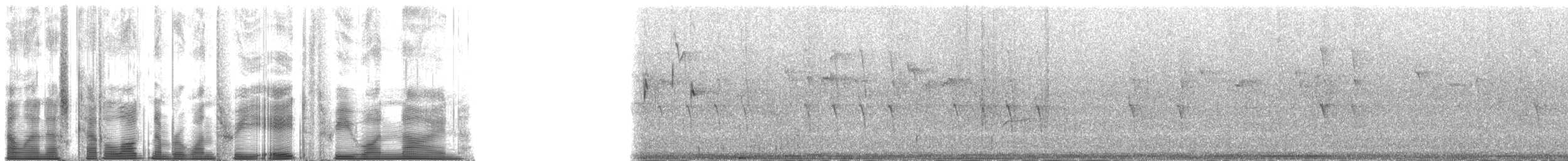 Гацуурын солбин хошуут - ML138319