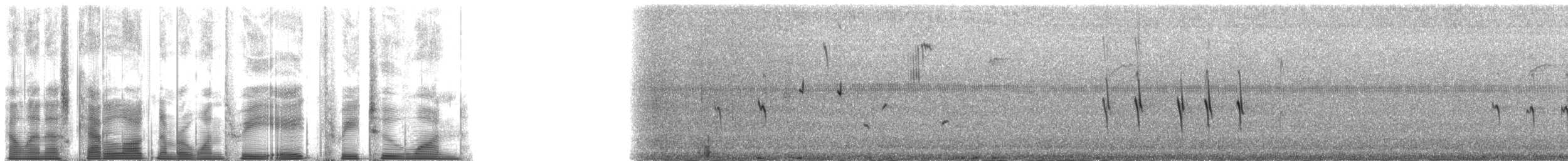 Гацуурын солбин хошуут - ML138321