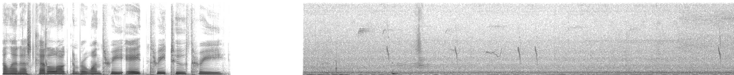 Red Crossbill (Appalachian or type 1) - ML138323