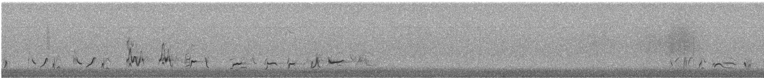 Krummschnabel-Spottdrossel [palmeri-Gruppe] - ML138431171