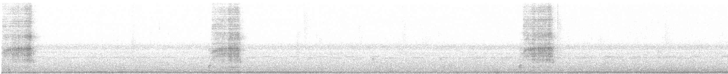 American Barn Owl - ML138447901