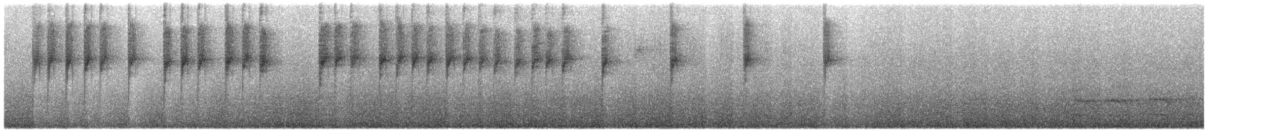 Пестрохвостая эферуса - ML138490821