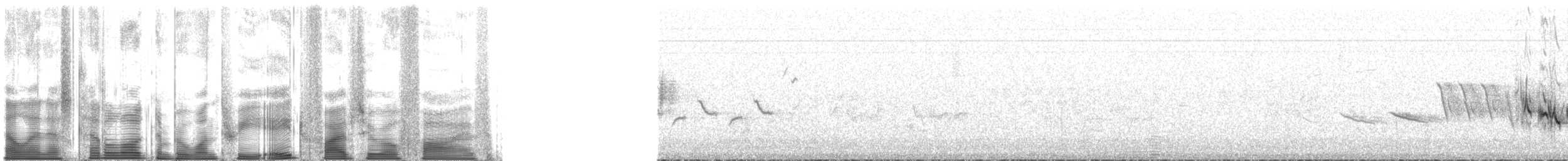 Camachuelo de Cassin - ML138505
