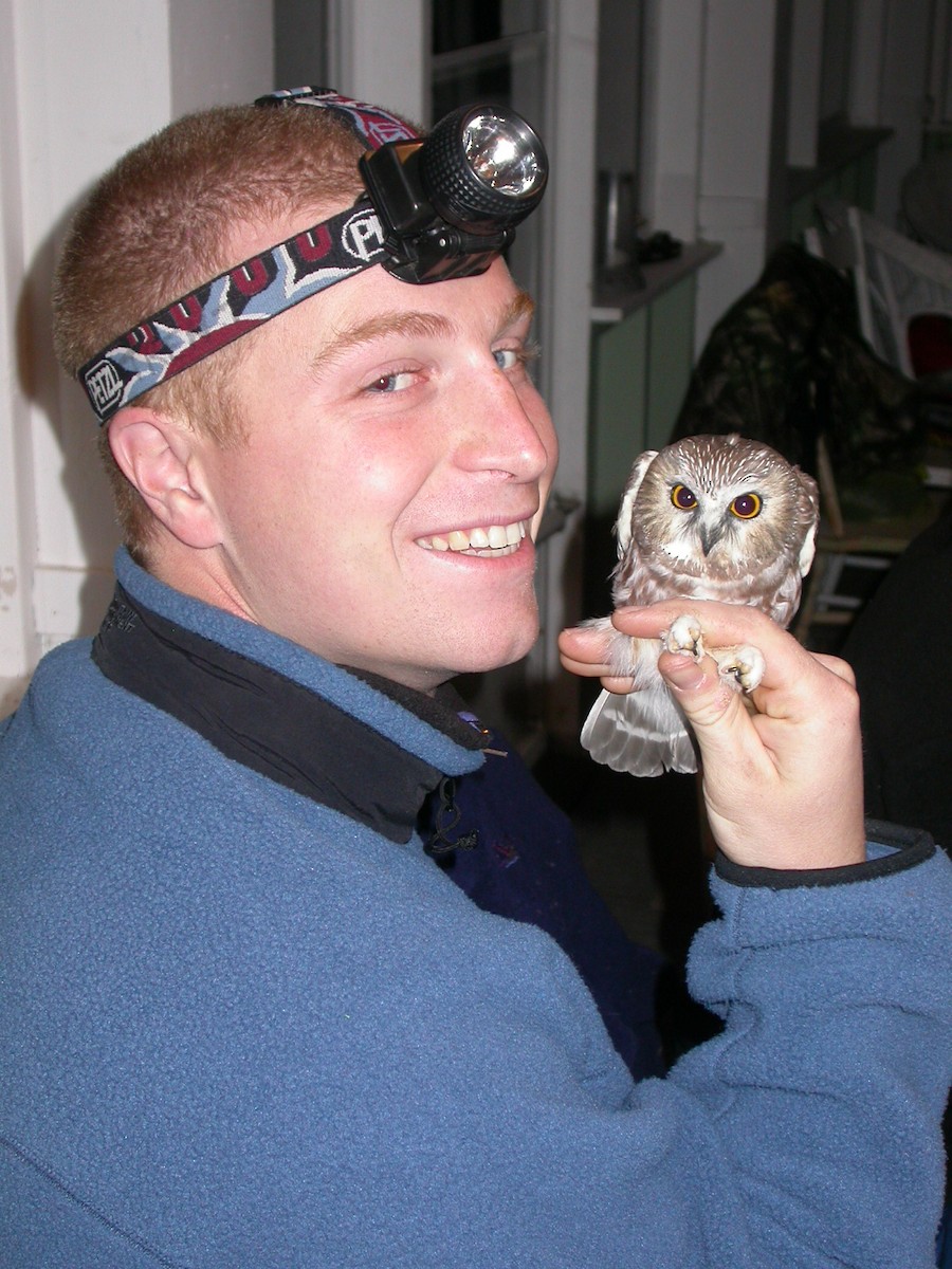 Northern Saw-whet Owl - Rick Stankiewicz