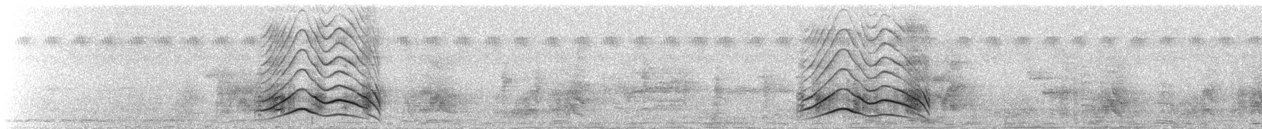 Choucador à queue violette - ML138552781