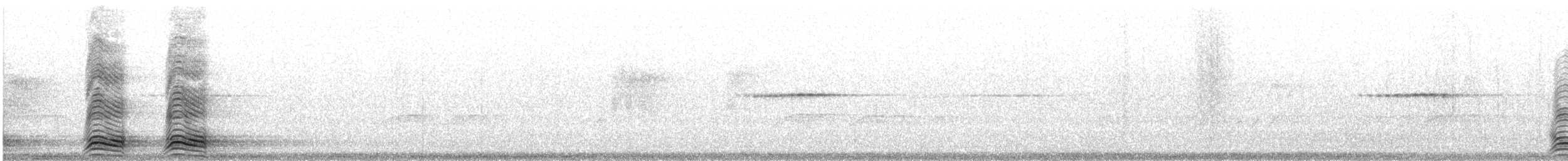 Cuervo Picudo (grupo macrorhynchos) - ML138557821