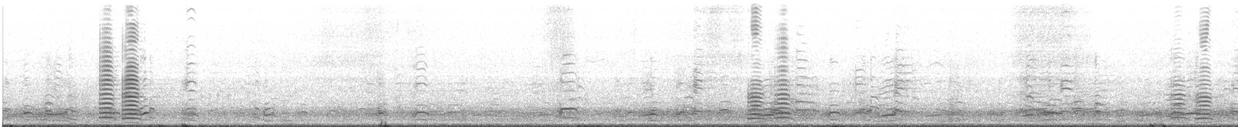 Cisne Trompetero - ML138599091
