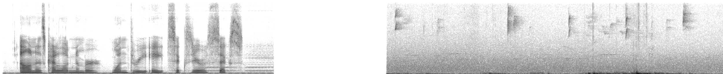 Tangara à calotte noire (atropileus) - ML138606