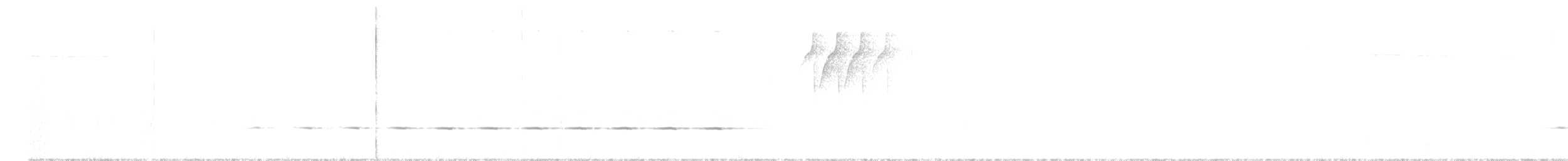 Cinclosome pointillé - ML138619691