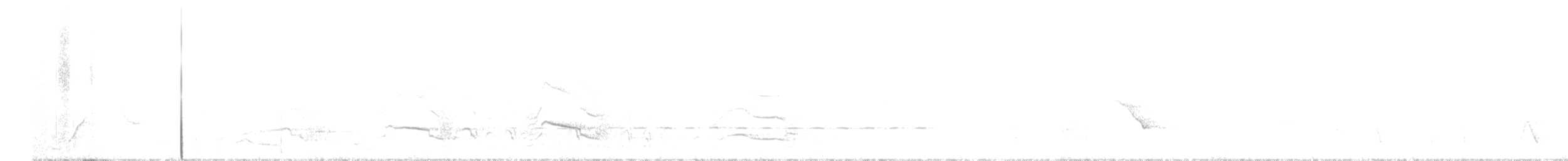 Cinclosome pointillé - ML138619821