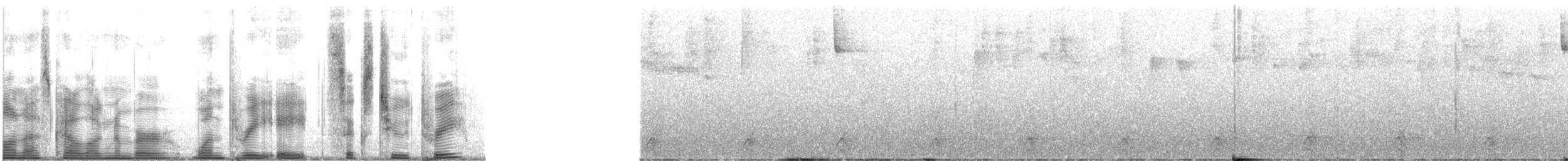 Weißkehlarassari (albivitta/phaeolaemus) - ML138623
