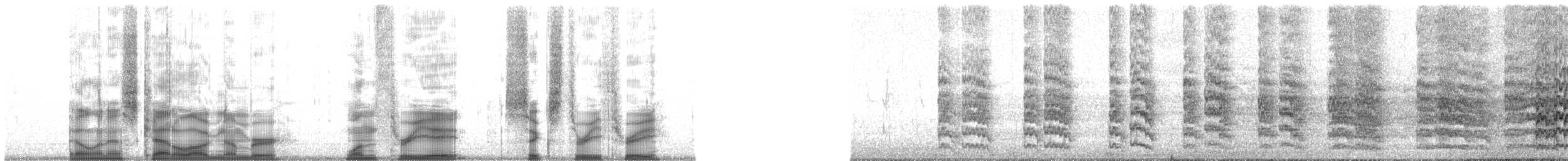 čejka jihoamerická (ssp. chilensis/fretensis) - ML138633