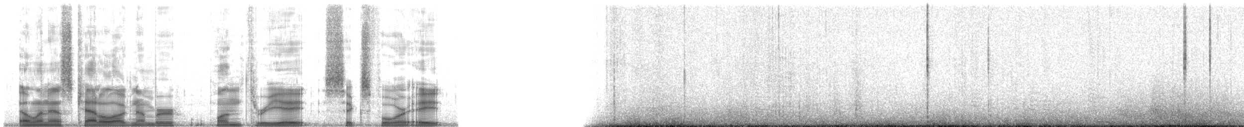 Burrowing Owl (Western) - ML138648