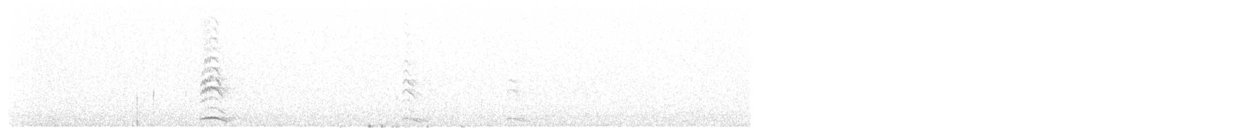sovka novozélandská - ML138654561