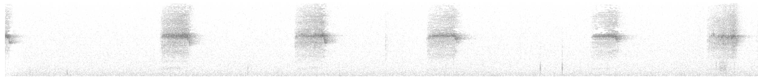 sovka novozélandská - ML138654801