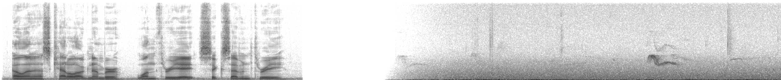 Élénie à cimier blanc (chilensis) - ML138673