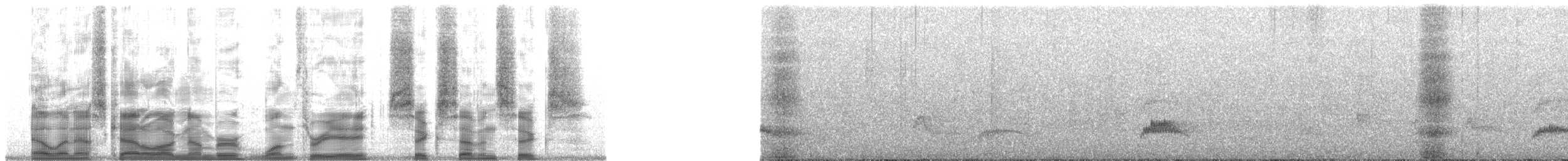 White-crested Elaenia (Chilean) - ML138676