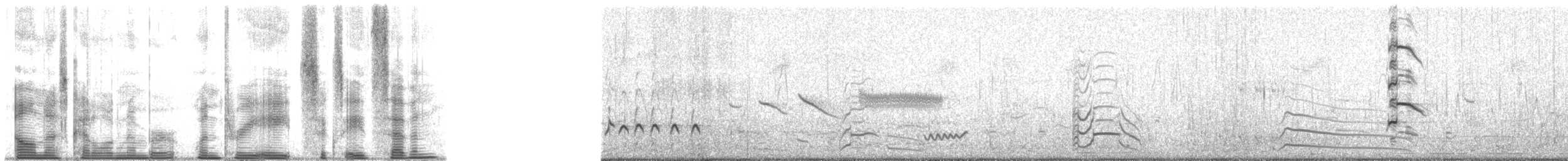 Franklin's Gull - ML138687