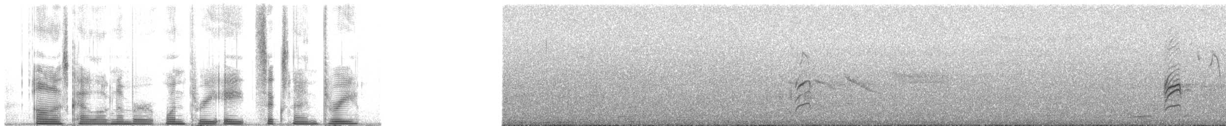 Crested Caracara (Southern) - ML138693