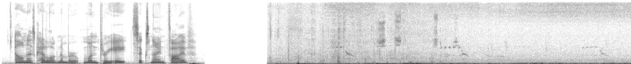 Black Rail (Southern South America) - ML138695