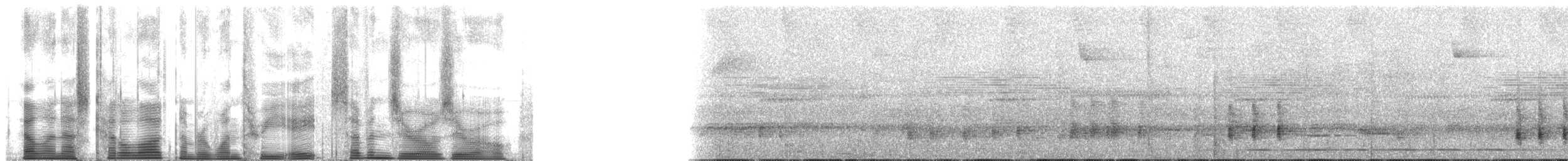 Strichelbrust-Ameisenpitta - ML138700