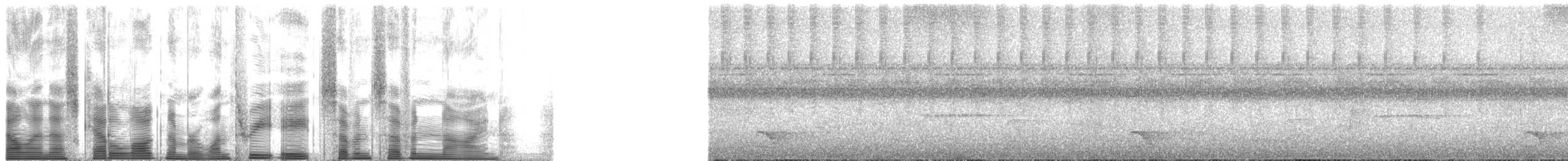 Дроздовая сельвиния [группа turdina] - ML138779