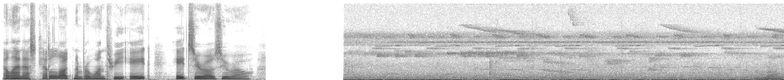 Gray Tinamou - ML138800