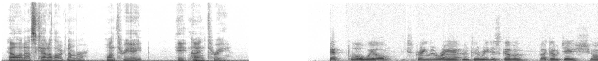 Ohrennachtschwalbe - ML138893