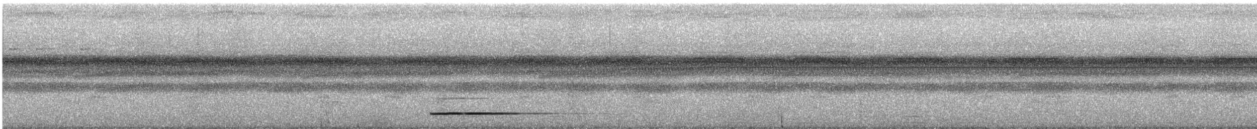 Thicket Tinamou - ML138908411