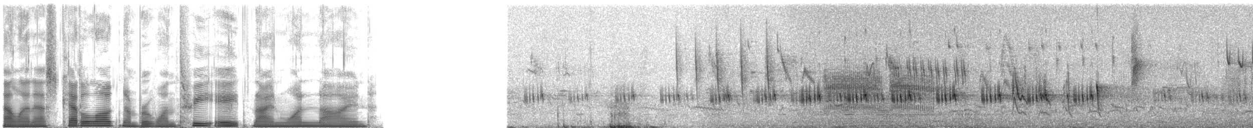 Gelbbrust-Feinsänger - ML138919