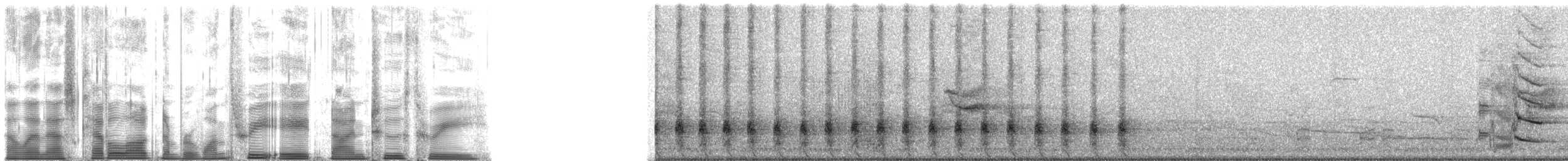 Estornino Soberbio - ML138923