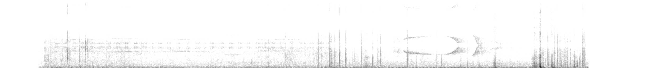 Russet-winged Schiffornis - ML138923971