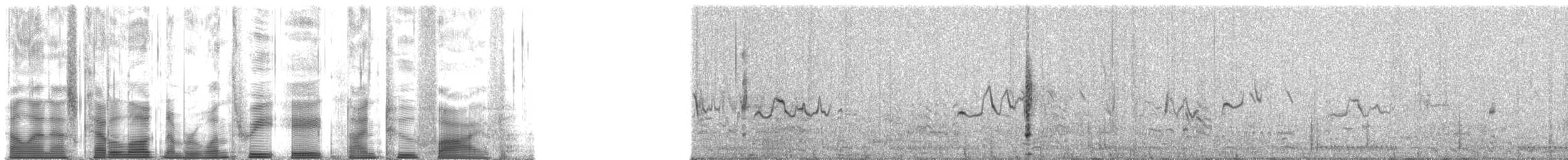 hjelmperlehøne (reichenowi) - ML138925