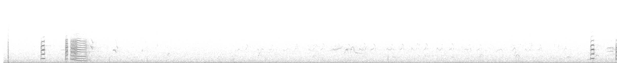 Coscoroba blanc - ML138925191