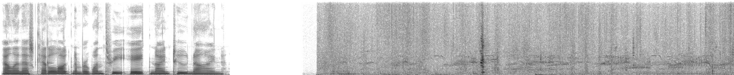 Цесарка рогата (підвид reichenowi) - ML138929