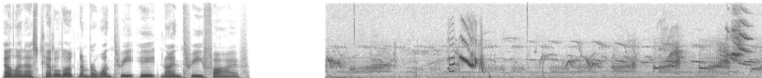 栗頭麗椋鳥 - ML138935