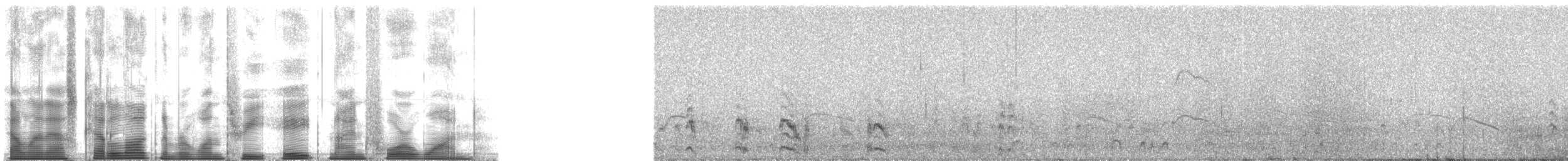 Чернолицый рябок - ML138941